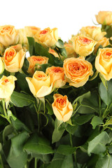 Bouquet of roses