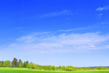 Obraz premium Spring landscape green field and blue sky