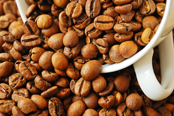 Coffee beans in a cup