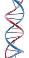 dna