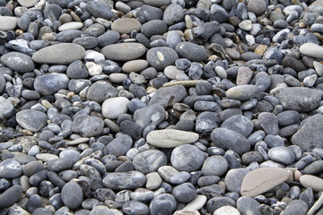 Kiesstrand auf der Düne vor Helgoland