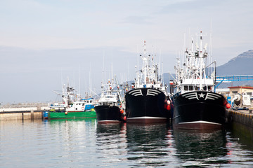 Puerto pesquero