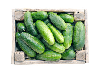 Cucumbers in box