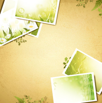 Vintage eco background with nature photos