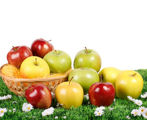 Cestino di Mele di varie qualità