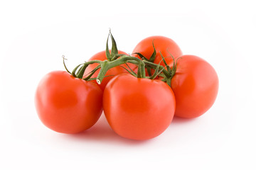 Tomatoes bunch