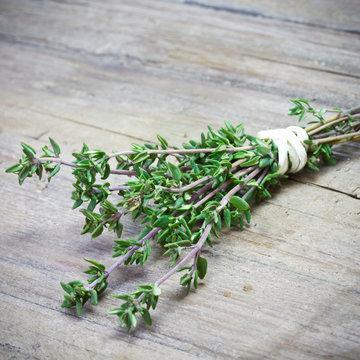 Thyme