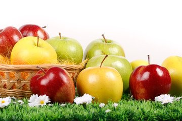 Mele verdi,gialle e rosse sparse su prato fiorito