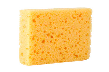 Yellow sponge