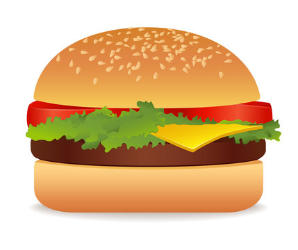 Hamburger. Vector illustration on white background