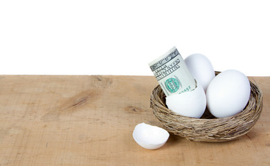 Fototapeta na wymiar an egg with one hundred dollar bills