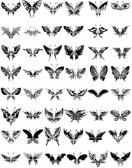 Fototapeta premium Butterflies Collection