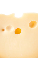 Background of fresh Maasdam cheese