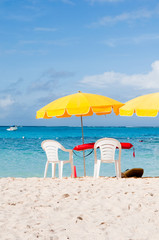 トロピカルビーチ