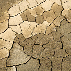 dried soil