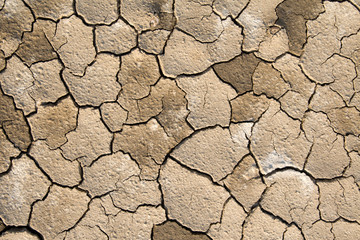 dried soil