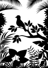Tropical forest silhouette background