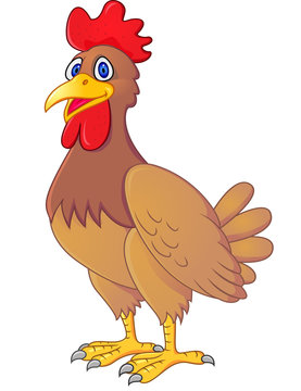 Chicken  cartoon