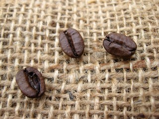 coffee beans