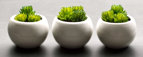 Gordijnen Concept zen © Chlorophylle