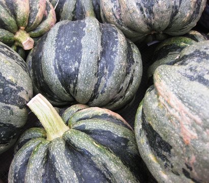 pumpkin