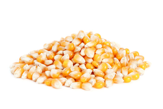 Pile corn isolated on white background.