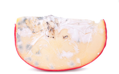 Moldy gouda cheese