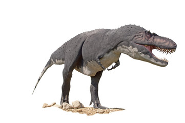 Tyrannosaurus T-Rex dinosaur - obrazy, fototapety, plakaty