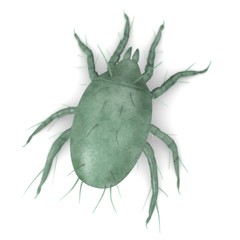 3d render of mite bug