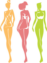 3 Female Body Types