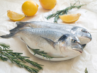 sea bream