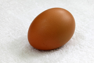 close up egg on white cotton