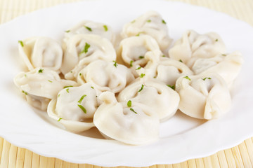 Traditional Russian cuisine. Pelmeni on white plate