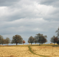 Landscape of Richmond Park