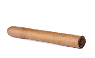 cigar isolated on white