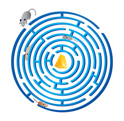 Rat race. Labyrinth. cheese