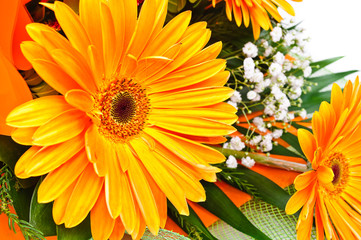 Floral bouquet gerbera