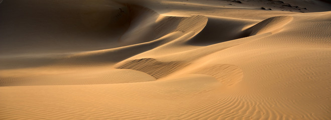 Obraz premium Pustynne wydmy Abu Zabi