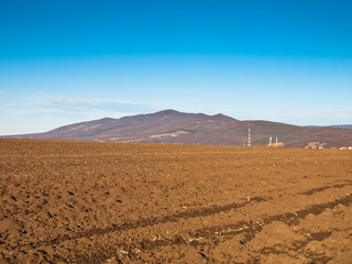 field background