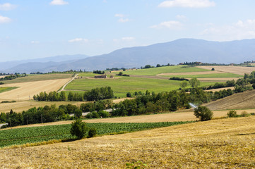 Fototapeta na wymiar Krajobraz w Toskanii