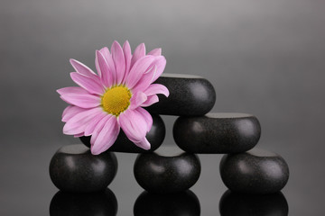 Obraz na płótnie Canvas Spa stones and flower on grey background