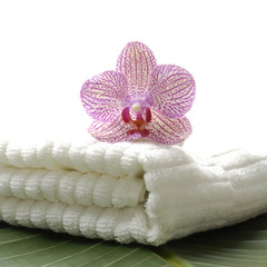 Obraz na płótnie Canvas Beautiful orchid with white towel on banana leaf