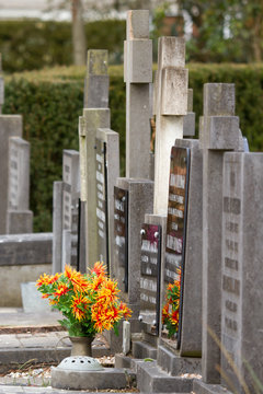 Fresh flowers on a grave