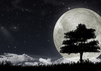 Fototapeta na wymiar Sylwetka drzewa przed wielkim księżycem