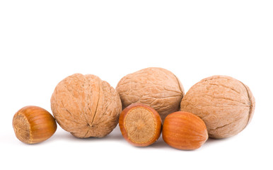 Tasty filbert and pecan on white background