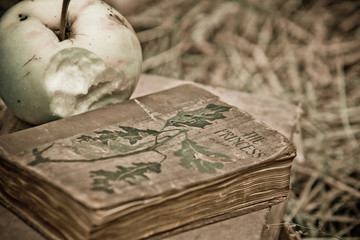 sleeping beauty book