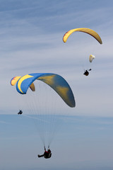 Paragliders