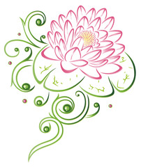 Lotus, Lotusblüte, Wellness, Seerose, Rose, Yoga, bunt