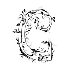 letter of the foliage