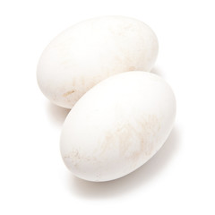 Goose eggs isolated on a white studio background.